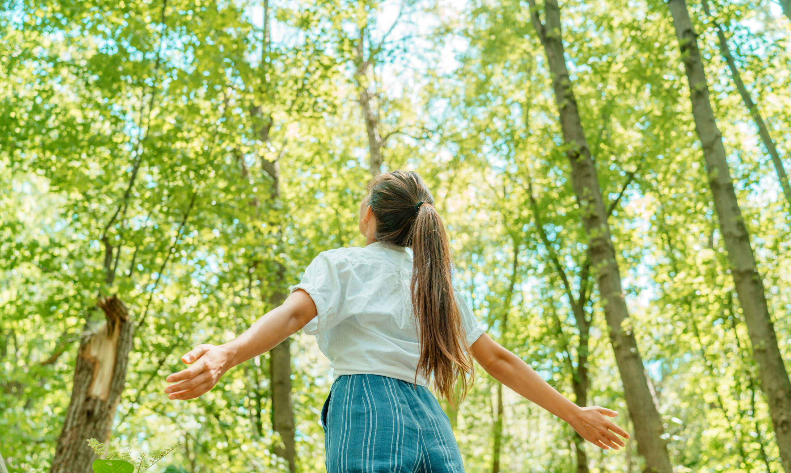 Free woman breathing clean air in nature forest. Happy girl from the back with open arms in happiness. Fresh outdoor woods, wellness healthy lifestyle concept. ventilatie